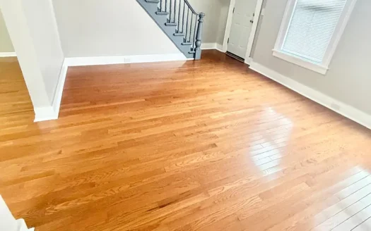 Bright and Cozy 4-Bed, 1.5-Bath Apartment for Rent in New Haven