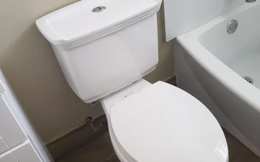 Beautiful 1 bed and 1 bath Apartment for rent